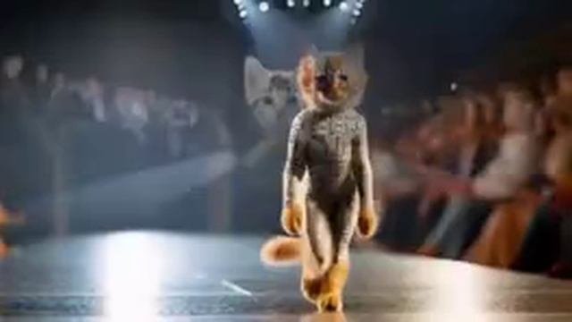 мода кошачья