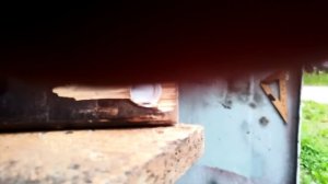 Оплетка из трубки от пивной кеги20250528.mp4