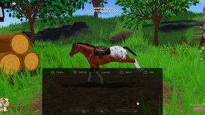 Конновлог/Острова диких лошадей!!!