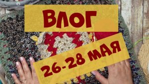 Неделя котопледов