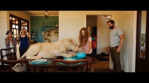 Миа и белый лев