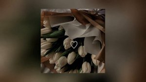 Песня: Дарите женщинам цветы speed up