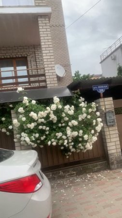 Новая 28 кбр