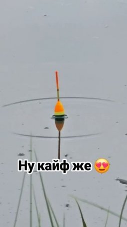 Рыбаки кайф же 👍