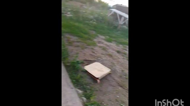 История про фальшивый тапок (фулл версия) смотреть онлайн