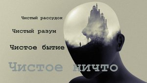 Спекуляция головного мозга