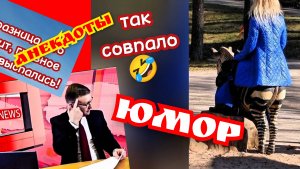 Юмор. Анекдоты. Смешные сюжеты. Подборка для настроения.