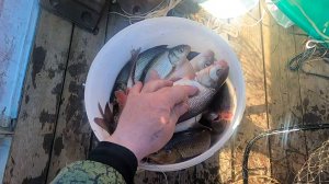 Проверка и поднятие продольников \ Вода прибывает \ Берём перерыв \ 24.05.25
