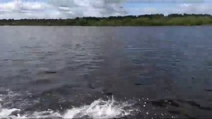 лодочный мотор Ветерок 8 М
