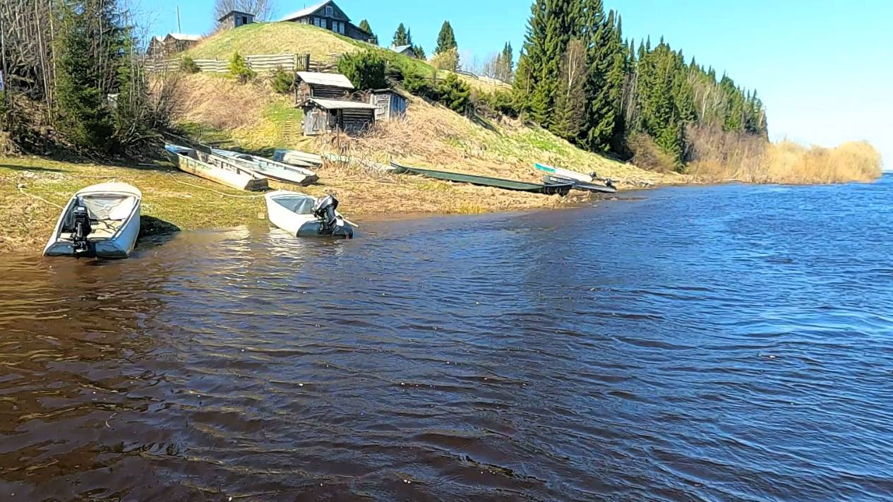 Весенняя заготовка рыбы \ Утренняя проверка продольников \ 23.05.25