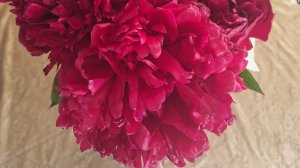 СП Добиваю недовязы 4/2025 Отчёт 22 с Мариной Стоговой