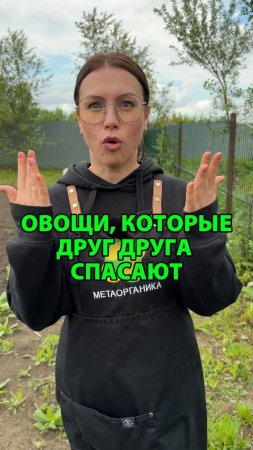 Овощи, которые друг друга спасают