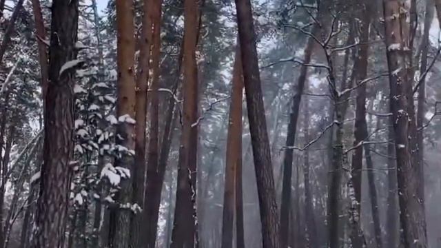 Асабни тинчлантирувчи музика.киш манзараси.Сергей Чекалин. Музыка для души. Зимняя природа. смотреть онлайн