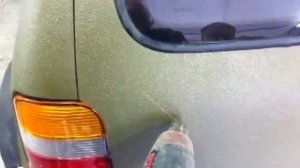 RAPTOR U-POL Защитное покрытие и удаление царапин