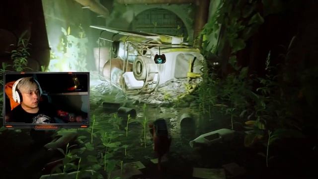 Stray | Я что, захожу в интернет чтобы плакать? | Часть 2 смотреть онлайн