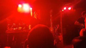 Дельфин — Штемпель