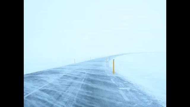 Мякиша увезли в холода на дачу тайком от хозяина на погибель. Успеет ли Ефим спасти его? смотреть онлайн