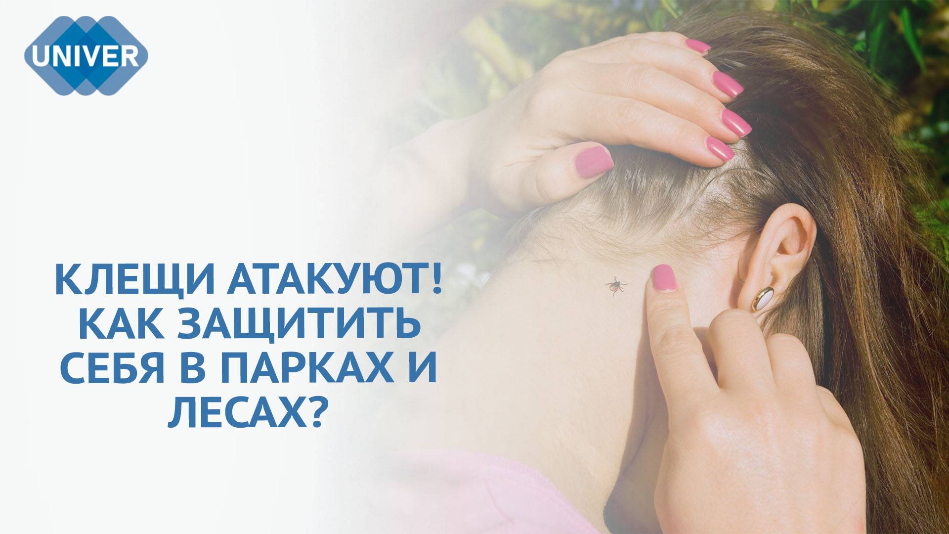 ЗАЩИТА ОТ КЛЕЩЕЙ: ПРОВЕРЕННЫЕ СОВЕТЫ ОТ ЭКСПЕРТА КФУ