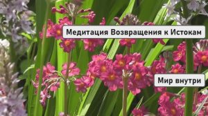 ЗВЁЗДНЫЙ ДОМ ЖДАЛ ТЕБЯ | Медитация Возвращения к Истокам