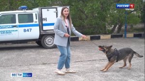 ВЕСТИ-КРЫМ «Звериные истории»: выпуск 28.05.2025