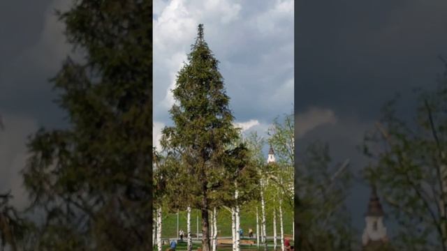 Прогулка по парку Зарядье в весеннем убранстве. Виды с смотреть онлайн
