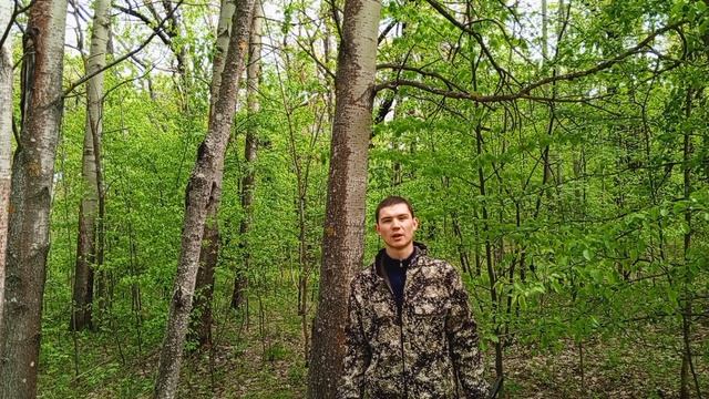 Все о "Лопате 16 в 1" смотреть онлайн