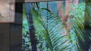 Телевизор LG 75QNED80T6A