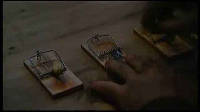 Кухонные байки смотреть онлайн