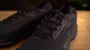 Кроссовки Nike Pegasus Trail 5 Gtx