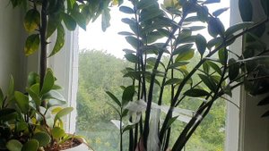 Если я заболею...