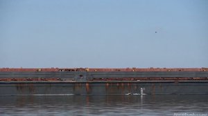 Теплоход Омский 118 на Волге идет в сторону ВДСК2