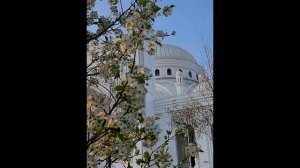 🌞Самый Красивый Нашид 🌼🌞