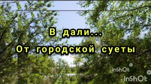 Пение Птиц 🐦 Дневная Прогулка