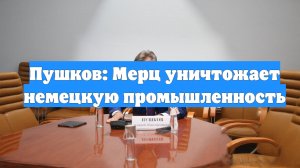 Пушков: Мерц уничтожает немецкую промышленность