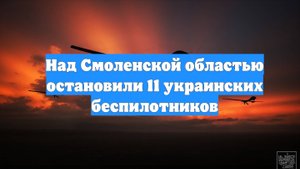 Над Смоленской областью остановили 11 украинских беспилотников