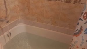 С УТРА ПРИНЯТЬ ВАННУЮ ПОТОМ ВЕРБЛЮЖЬЕ МОЛОКО С ЗЕЛЕНЫ?