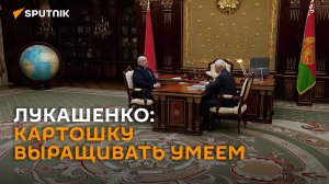 Беларусь готова наладить поставки картофеля в Россию