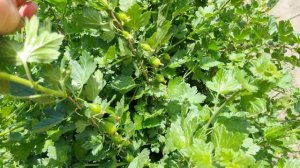 Продолжаем...