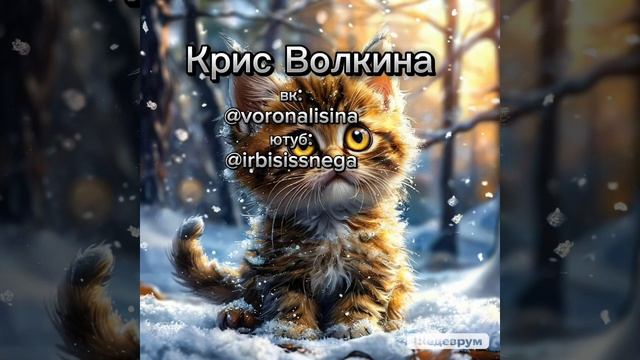 Крис Волкина- Котёнок и первый снег (мой текст в исполн смотреть онлайн