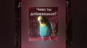 Ужасы - Н.Чиляков.mp4