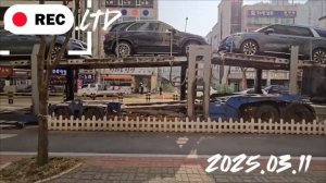 Погрузка автотранспортных средств на автовоз для дальнейшей отправки в порт Республики Корея
