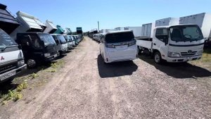 Авторынок Уссурийск ОБЗОР ЦЕН ГРУЗОВИКИ 25.05.24‼️#чаус?