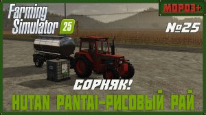 🟢Farming Simulator 25🟢. Карта Hutan Pantai-Рисовый рай, №25 Сорняки!