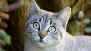 Немедленно пропиши в своей квартире мою дочь от перво?