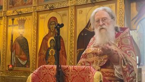Явления Воскресшего Христа многим. Отдание Пасхи.. Проповедь на Божественной Литургии 28.05.2025