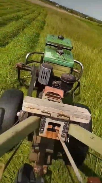 #сено #мотоблоки #косилка #zuber смотреть онлайн