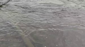 Антону, спасибо за отчёт 😎👍