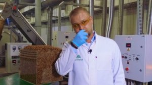 Личинки, которых мы скоро будем есть
