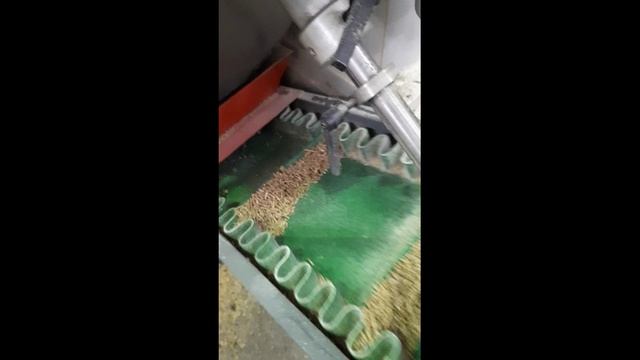 Комплекс гранулирования кормов