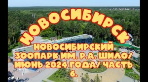 Новосибирский зоопарк имени Р.А. Шило. Июнь 2024 года. Часть 6.